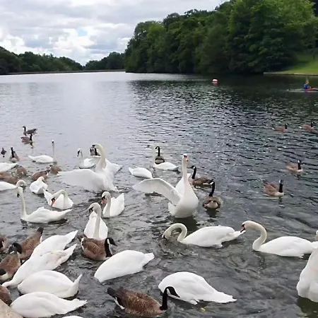 Borrowdale Brook * Leeds